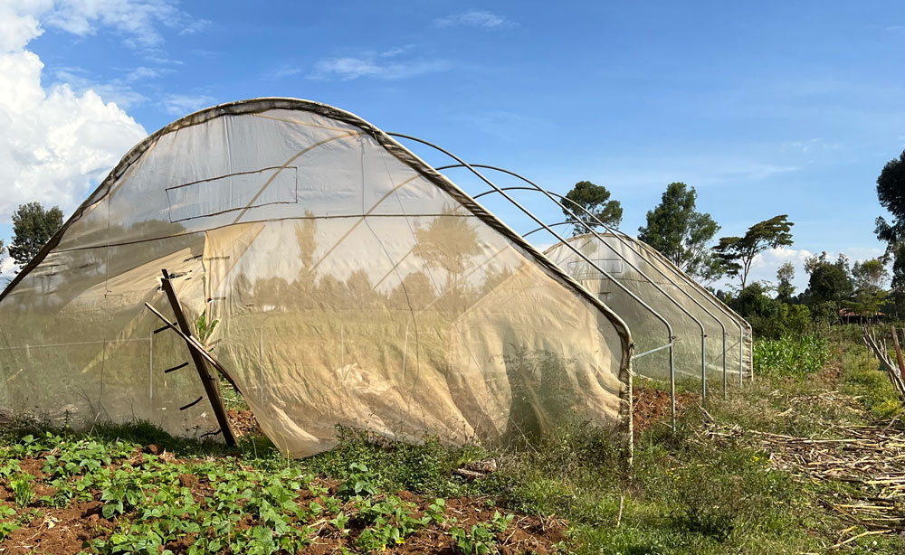 greenhouse at Rapha community center